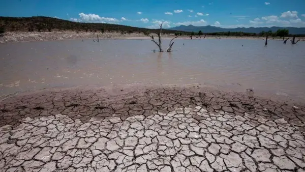 Terreno seco y agrietado en una zona rural de Hidalgo