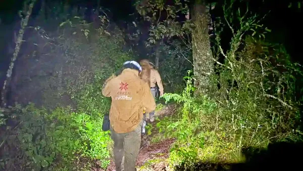 Rescatan a cinco personas extraviadas en el bosque de Mineral del Chico; fueron halladas con vida en Paraíso Escondido. No hubo lesionados.