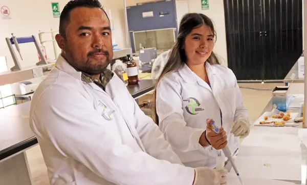 El Dr. Donaji Jiménez Islas encabeza al equipo académico del ITESHU en la investigación con cogollo de maguey.