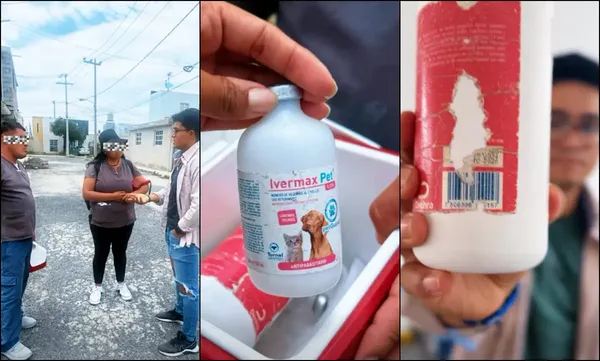 Personal de Centro de Control y Bienestar Animal Municipal de Tizayuca (CECOBAM) aseguró vacunas sin cadena de frío y documentos apócrifos durante el operativo en el Fraccionamiento Haciendas de Tizayuca donde fueron detectados dos falsos veterinarios.