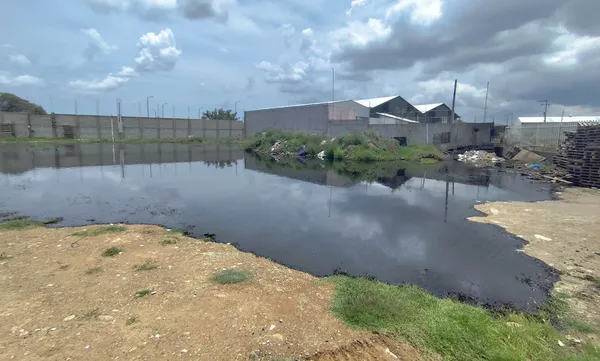 Personal de los tres órdenes de gobierno y PEMEX laboran en el saneamiento del derrame y la clausura de las cinco tomas clandestinas ubicadas en Mineral de la Reforma, a un costado del Rastro Municipal. Foto: Subsecretaría de Protección Civil