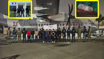 Vehículos y animales exóticos asegurados durante el megaoperativo contra el CJNG en Hidalgo