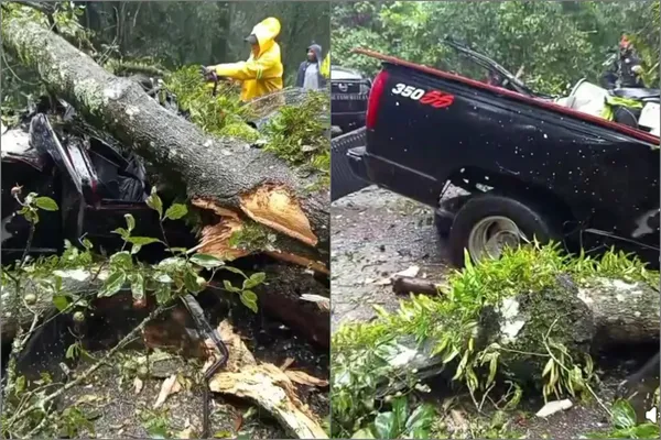 Personal de Protección Civil y autoridades municipales de Acaxochitlán maniobraron con herramienta para salvar a los dos menores y recuperar los cuerpos de los dos adultos que fueron aplastados por un árbol, en la carretera Acaxochitlán–Venta Quemada.