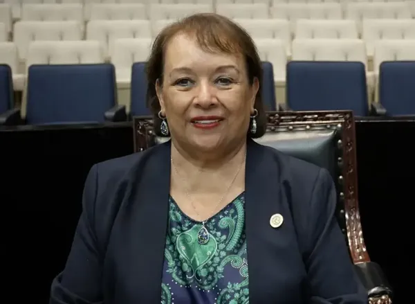 Juana Olivia Alarcón Rivera, diputada local de Nueva Alianza Hidalgo