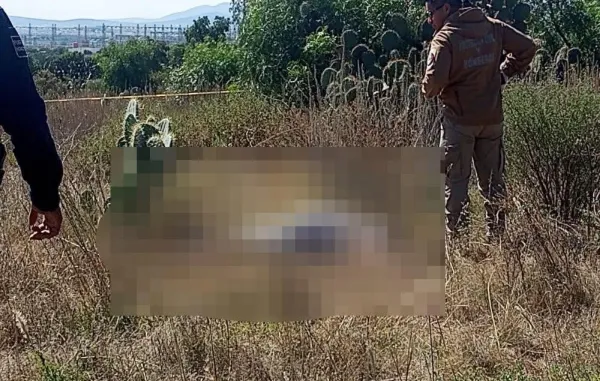 Hallazgo de hombre sin vida en terreno de cultivo de Mineral de la Reforma, Hidalgo.