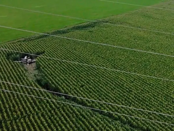 avioneta cae San Juan del Río Querétaro sembradíos