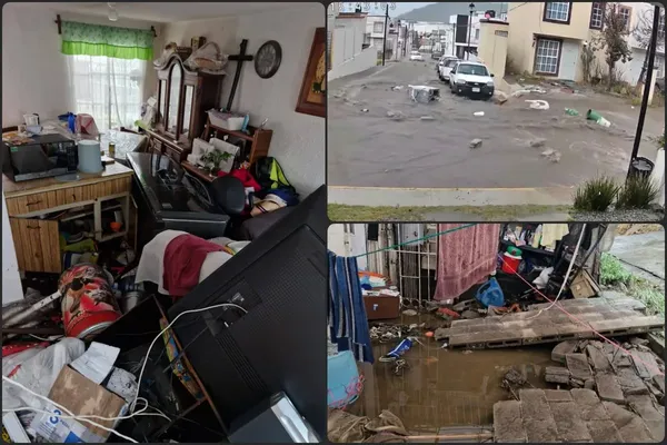 inundación en Colinas de Plata, lluvias en Mineral de la Reforma, drenaje obstruido en Hidalgo, daños por lluvias, pérdida de mascotas, infraestructura de drenaje