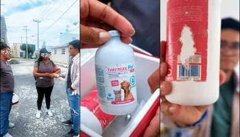 Personal de Centro de Control y Bienestar Animal Municipal de Tizayuca (CECOBAM) aseguró vacunas sin cadena de frío y documentos apócrifos durante el operativo en el Fraccionamiento Haciendas de Tizayuca donde fueron detectados dos falsos veterinarios.